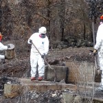 Laborers in tyvek suits and respirators clearing a property in Anderson Springs.